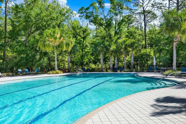 16930 STORYLINE DRIVE, Land O Lakes, FL 34638