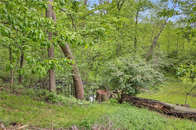 8704 Columbia Road, Olmsted Falls, OH 44138