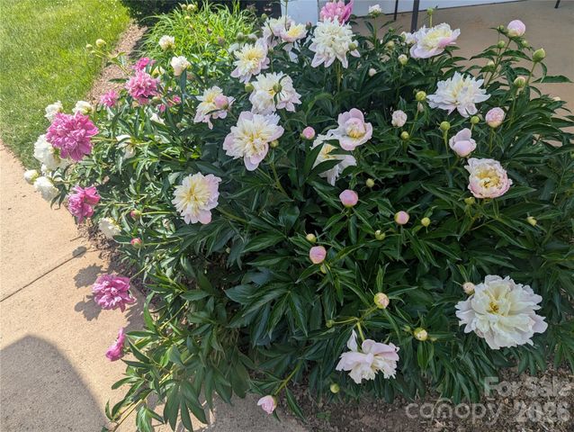 3005 Sagamore Lane, Asheville, NC 28806