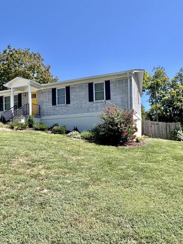 207 N Cedar Ln, Pulaski, TN 38478