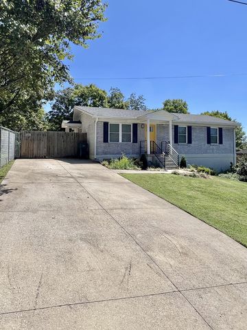 207 N Cedar Ln, Pulaski, TN 38478