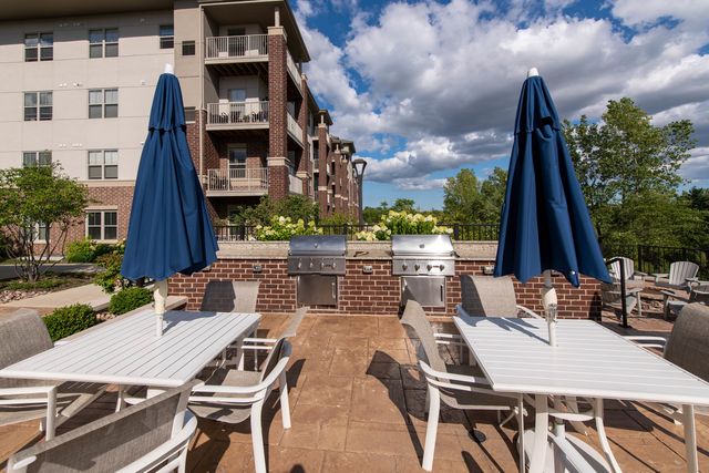 21599 W Field Court 21663, Deer Park, IL 60010