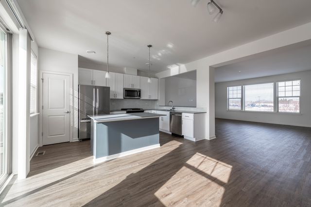 21599 W Field Court 21663, Deer Park, IL 60010