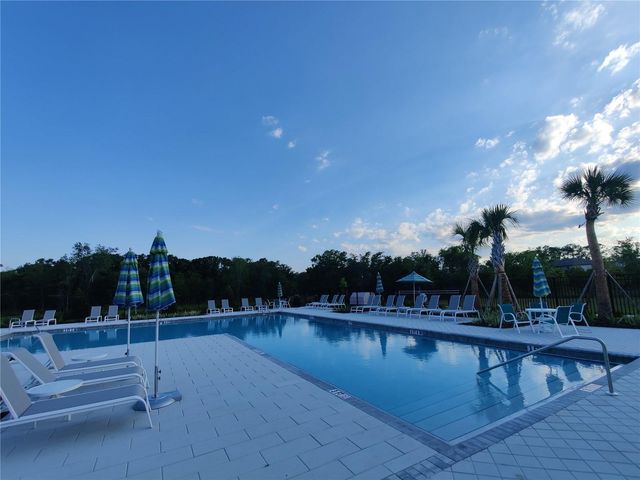1509 CASSIUS STREET, Lutz, FL 33549