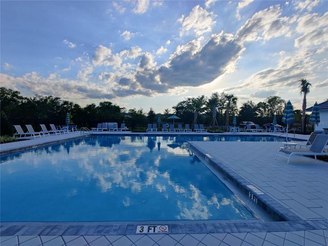 1509 CASSIUS STREET, Lutz, FL 33549
