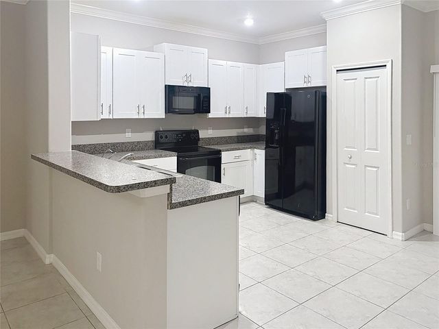 1509 CASSIUS STREET, Lutz, FL 33549