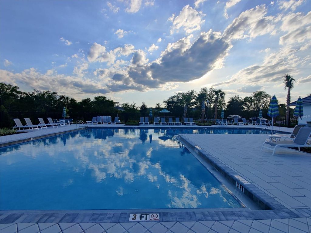 Image 34 of property listing at 1509 CASSIUS STREET, Lutz, FL 33549