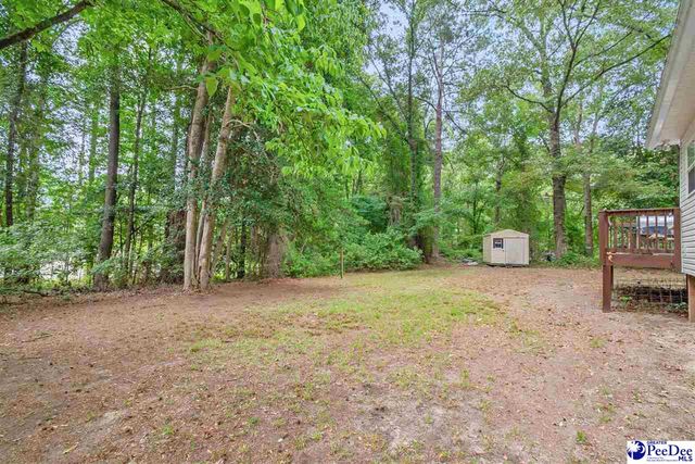 487 Ridge Road, Cheraw, SC 29520