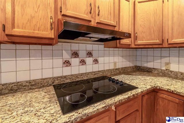487 Ridge Road, Cheraw, SC 29520