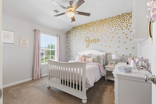 318 Blue Stem Lane, Aledo, TX 76008