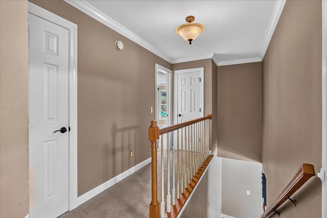 55 Middle Creek Road, Signal Mountain, TN 37377