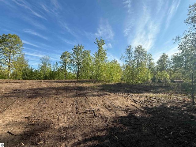 1087 E Solaris Way, Maple City, MI 49664