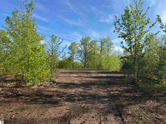 1087 E Solaris Way, Maple City, MI 49664