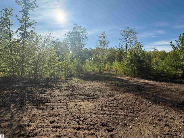 1087 E Solaris Way, Maple City, MI 49664