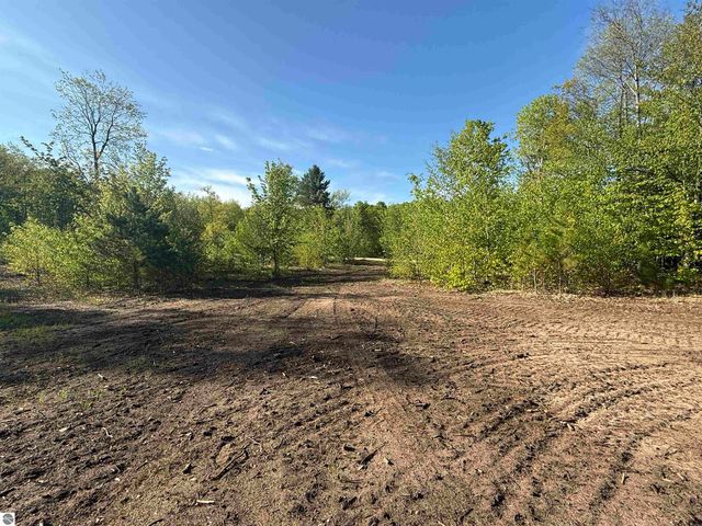 1087 E Solaris Way, Maple City, MI 49664