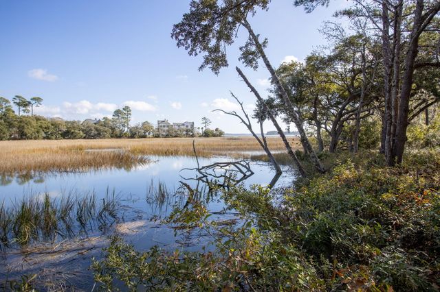 302 Island Park Drive, Charleston, SC 29492