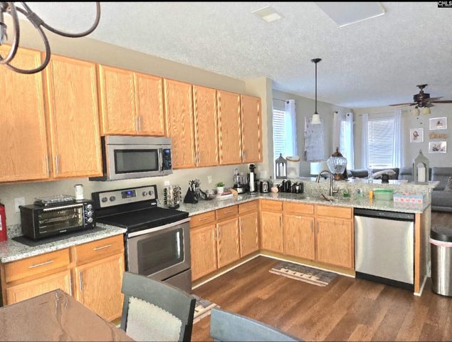 237 Wild Olive Drive, Columbia, SC 29229
