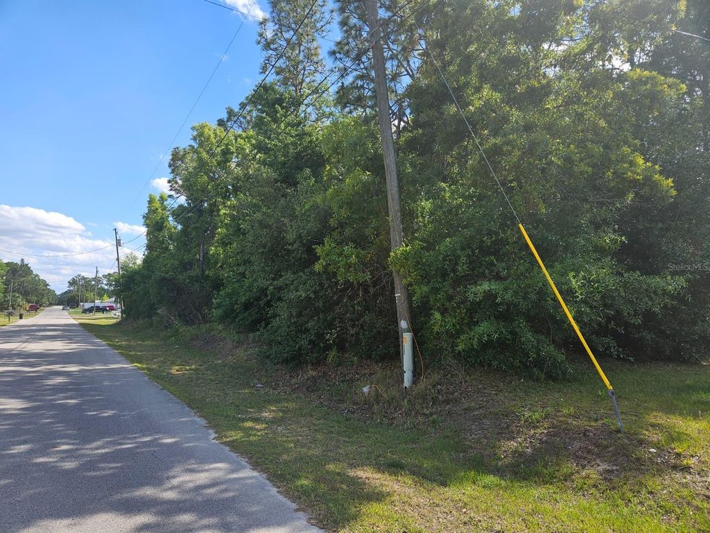 SE 89TH TERRACE, Belleview, FL 34420