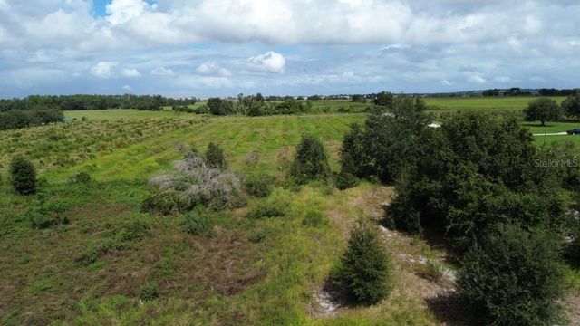 ARTIFACT DRIVE, Zephyrhills, FL 33541
