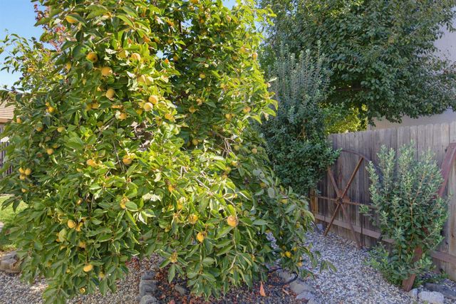 501 Welsford Ct, Lincoln, CA 95648