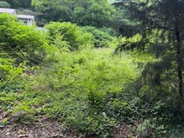 00 Wheeler Avenue, Chattanooga, TN 37404