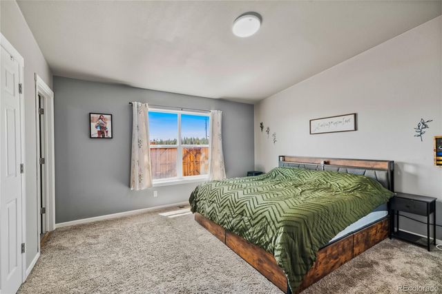 875 Trout Creek Drive, Fairplay, CO 80440