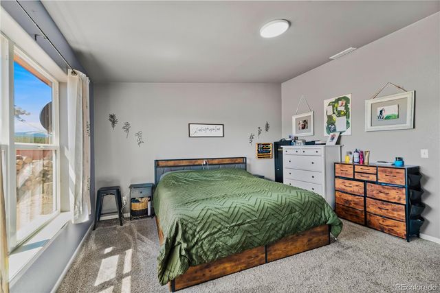 875 Trout Creek Drive, Fairplay, CO 80440