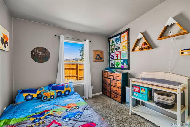 875 Trout Creek Drive, Fairplay, CO 80440