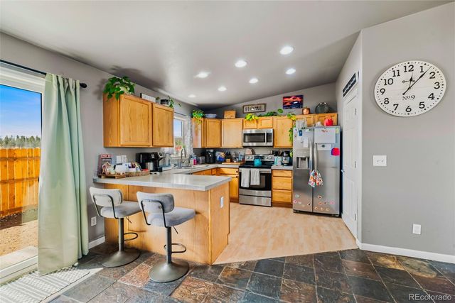 875 Trout Creek Drive, Fairplay, CO 80440