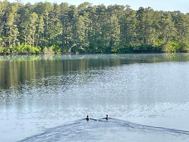 15 Quail Nest Run, Harwich, MA 02645