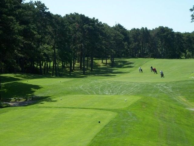 15 Quail Nest Run, Harwich, MA 02645