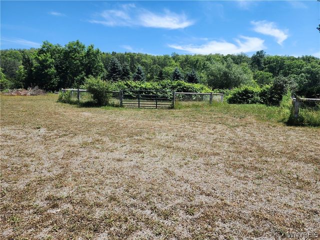 9303 Falls Road, Colden, NY 14170