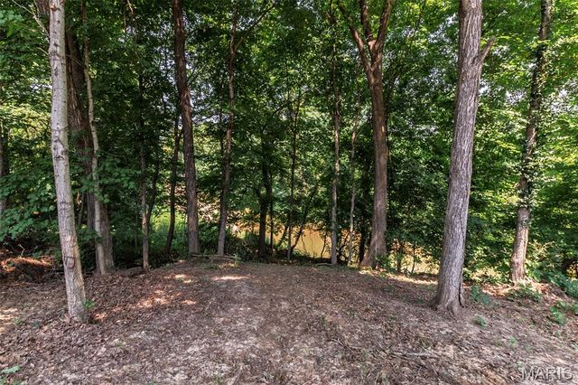 1823 Iron Mountain Dr Drive, Festus, MO 63028