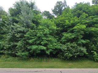 Lot 36 - Pinemont, Brighton, MI 48116
