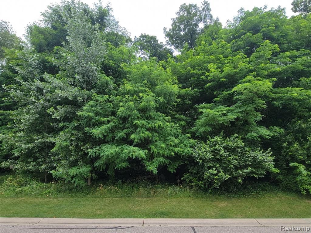 Lot 36 - Pinemont, Brighton, MI 48116