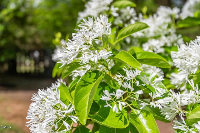 1902 White Plains Road, Chapel Hill, NC 27517