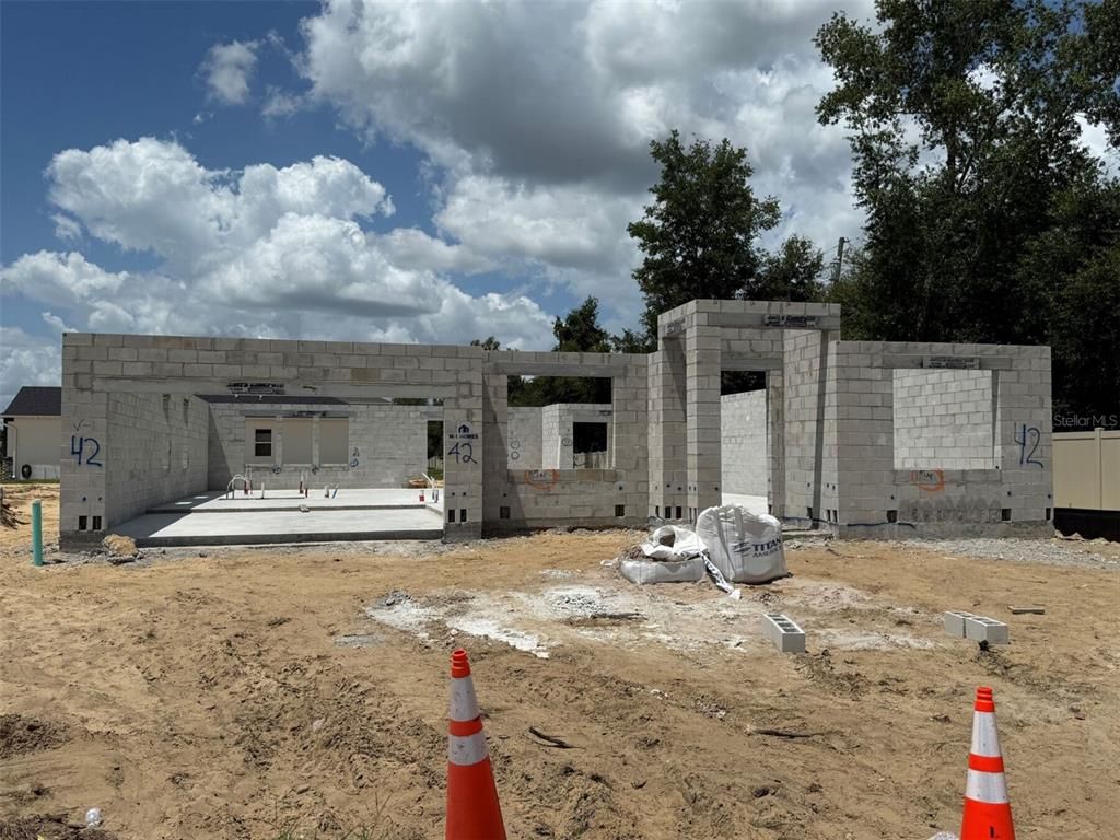 699 POINTE EMERSON BOULEVARD, Apopka, FL 32703