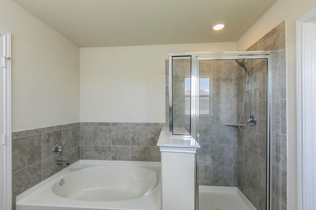 316 Pine Arbol, Buda, TX 78610