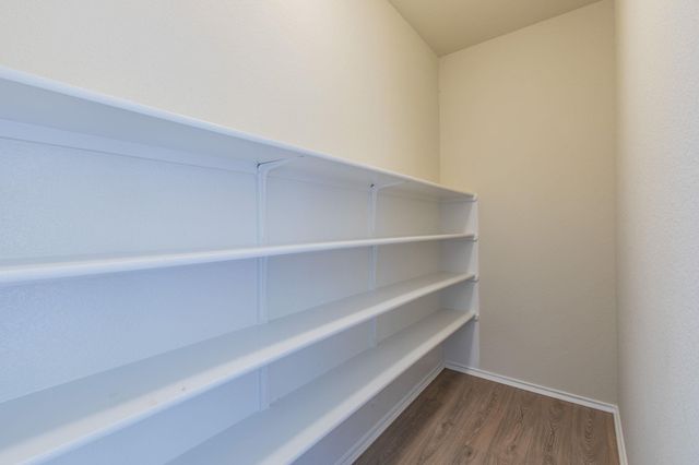 316 Pine Arbol, Buda, TX 78610
