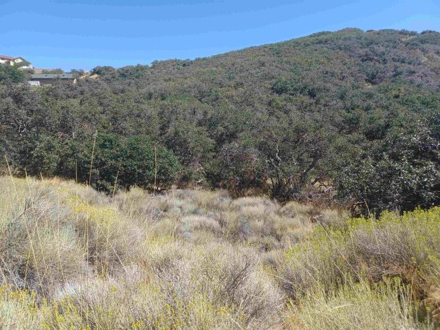 22920 Constance Way 102, Tehachapi, CA 93561