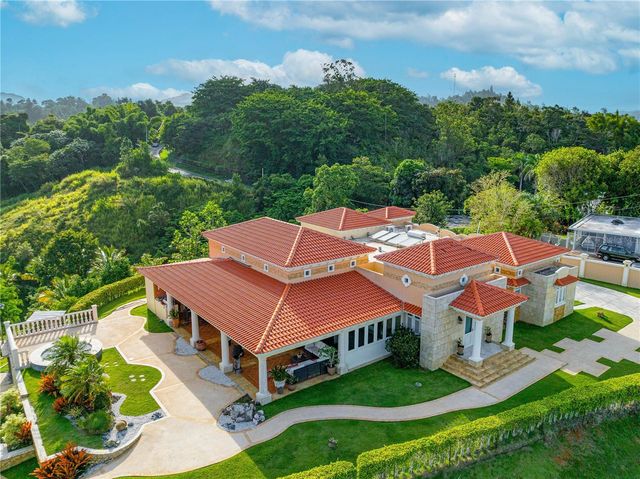 Ruben Marrero HELECHAL WARD, Barranquitas, PR 00794