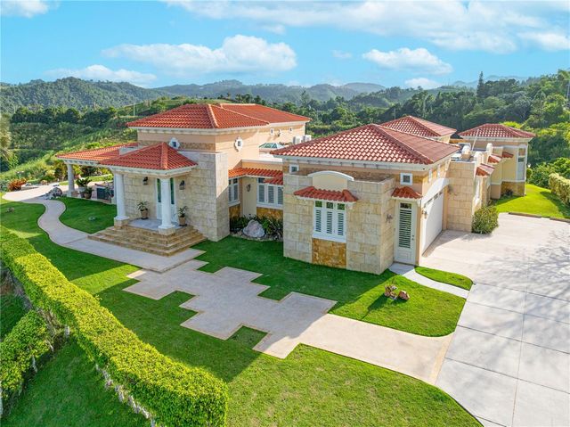 Ruben Marrero HELECHAL WARD, Barranquitas, PR 00794