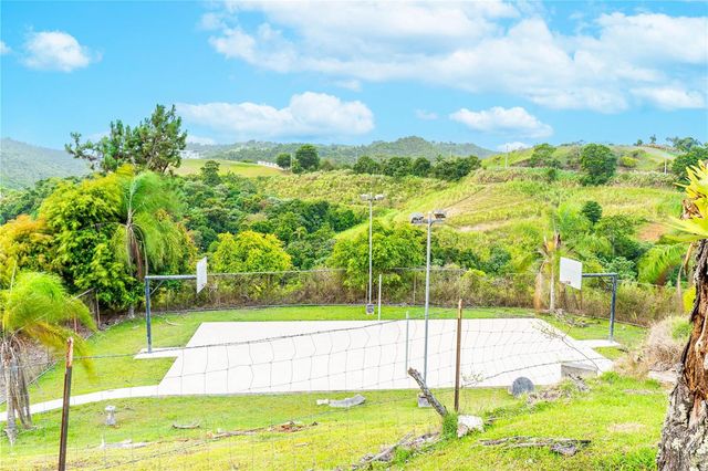 Ruben Marrero HELECHAL WARD, Barranquitas, PR 00794