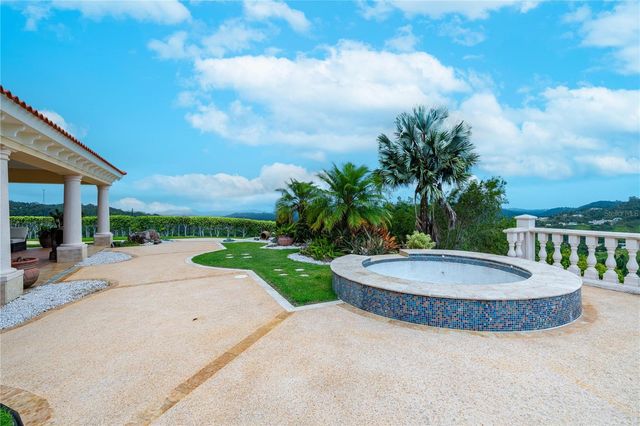 Ruben Marrero HELECHAL WARD, Barranquitas, PR 00794