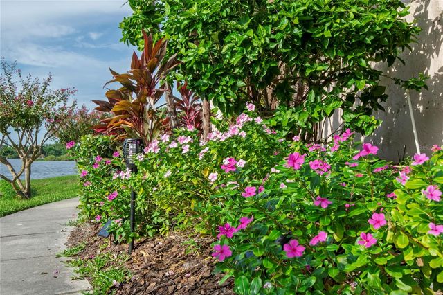 1007 S BAYSHORE BOULEVARD 107, Safety Harbor, FL 34695