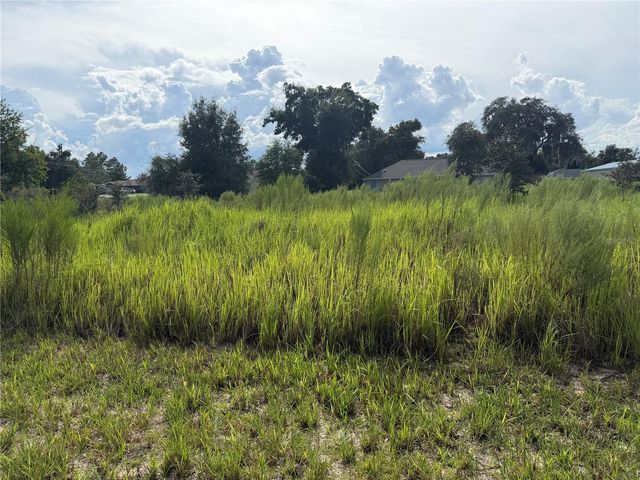 TBD LOCUST PASS LOOP, Ocala, FL 34472