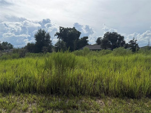 TBD LOCUST PASS LOOP, Ocala, FL 34472