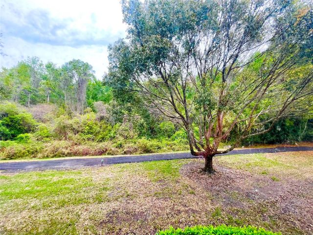 1182 PINE RIDGE CIRCLE W C-2, Tarpon Springs, FL 34688