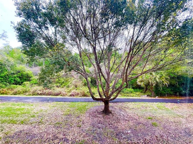 1182 PINE RIDGE CIRCLE W C-2, Tarpon Springs, FL 34688