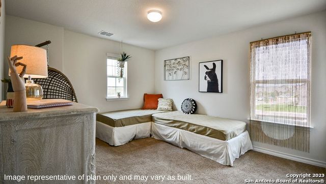 1707 Garnet Spring, San Antonio, TX 78245
